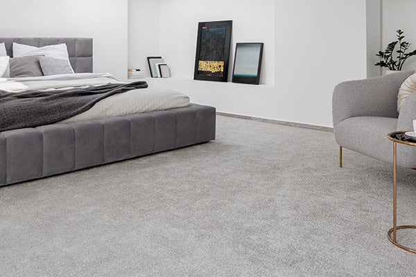 Spacious bedroom with clean grey carpeting